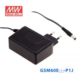 GSM60E18-P1J