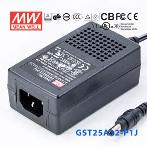 GST25A12-P1J