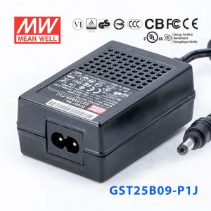 GST25B09-P1J