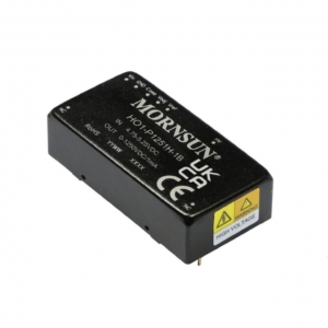 HO1-P1251H-1B