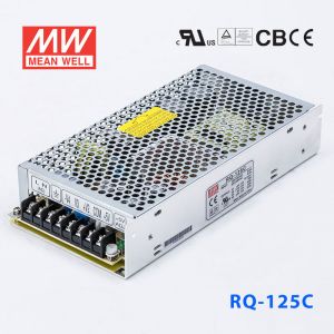 RQ-125C