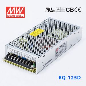 RQ-125D